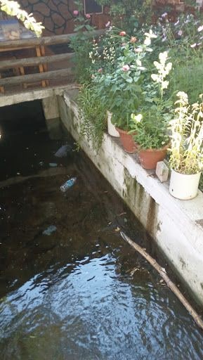 Yorum fotoğrafı 8
