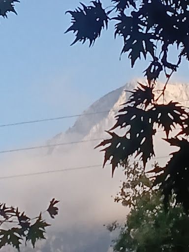 Yorum fotoğrafı 8