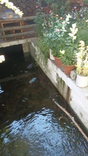 Yorum fotoğrafı 9