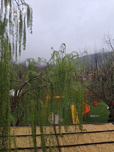Fotoğraf 21