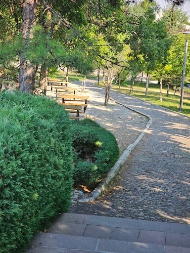 Yorum fotoğrafı 10