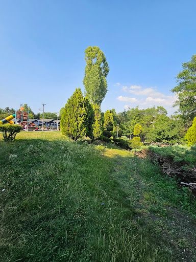 Yorum fotoğrafı 9