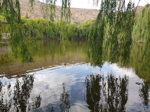 Yorum fotoğrafı 5
