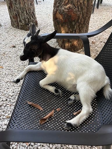 Fotoğraf 41