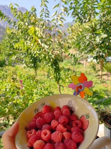 Yorum fotoğrafı 3