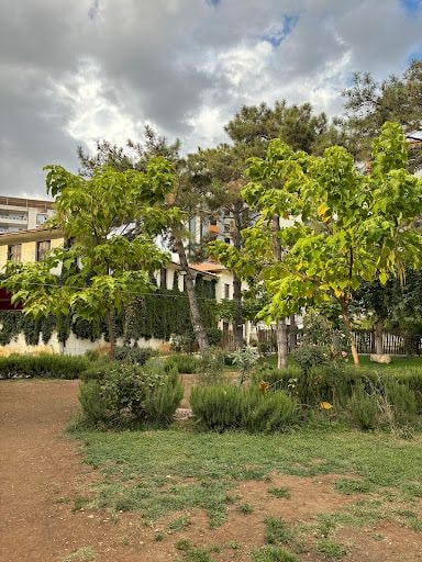 Yorum fotoğrafı 2