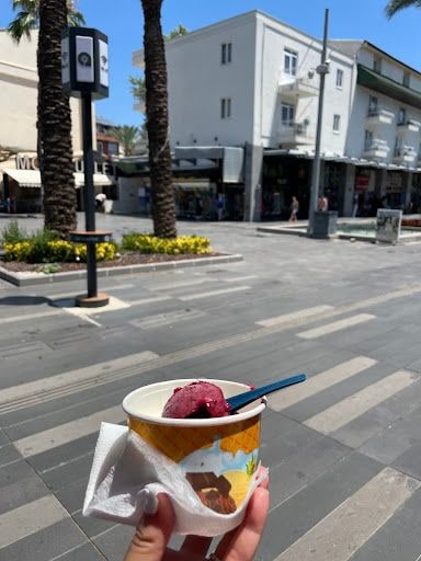 Yorum fotoğrafı 4