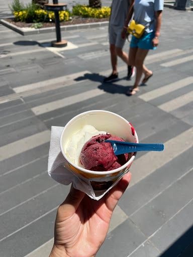Yorum fotoğrafı 5
