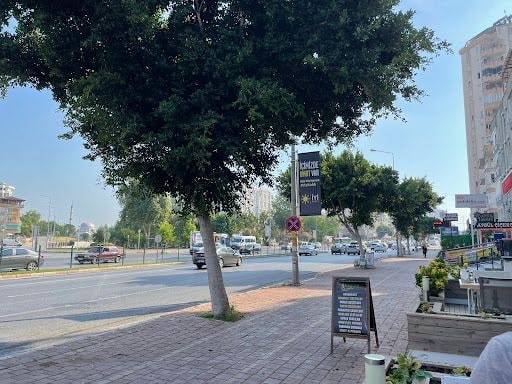 Fotoğraf 24