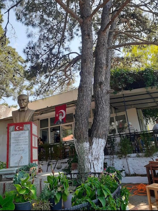 Yorum fotoğrafı 1