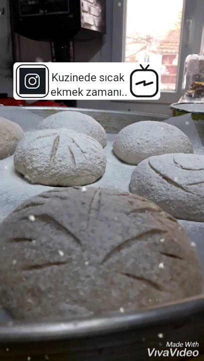 Fotoğraf 23