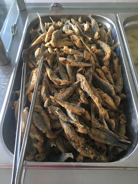 Fotoğraf 18