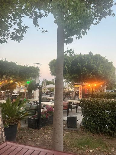 Yorum fotoğrafı 4