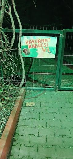 Yorum fotoğrafı 4
