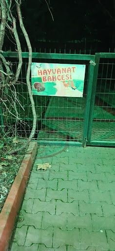 Yorum fotoğrafı 5