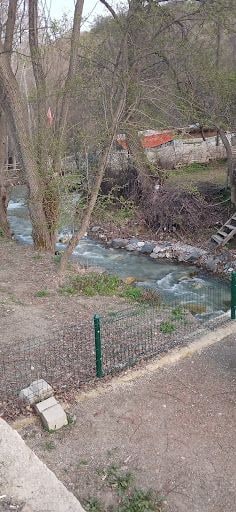 Yorum fotoğrafı 5
