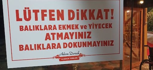 Yorum fotoğrafı 6