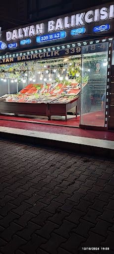 Yorum fotoğrafı 4
