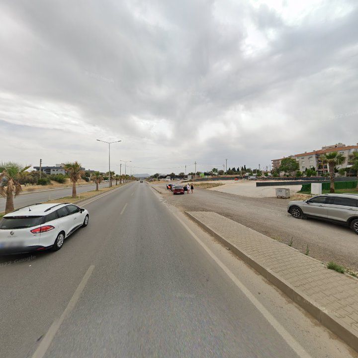 Fotoğraf 10