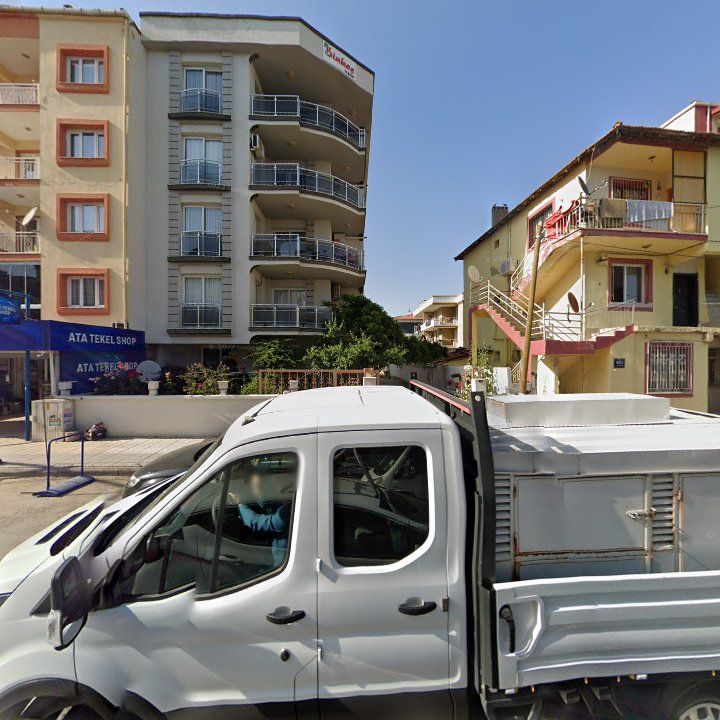 Fotoğraf 7