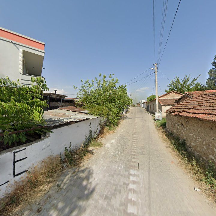 Fotoğraf 3