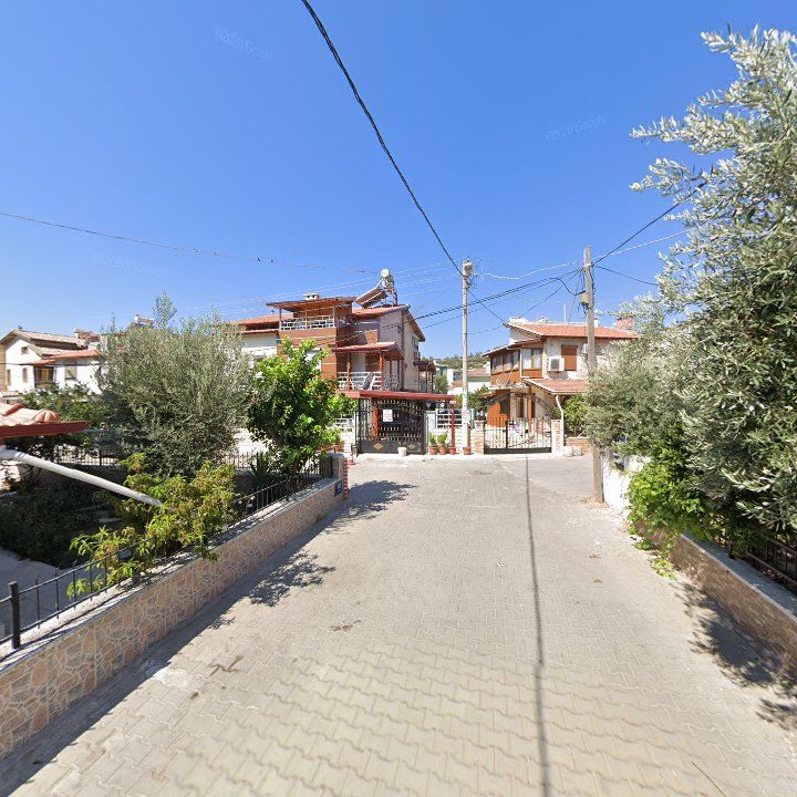 Fotoğraf 7