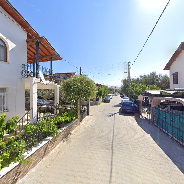 Fotoğraf 9