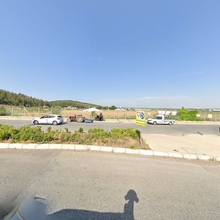 Fotoğraf 6