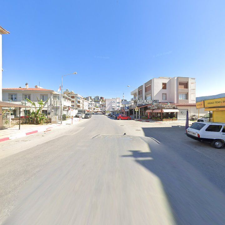 Fotoğraf 7