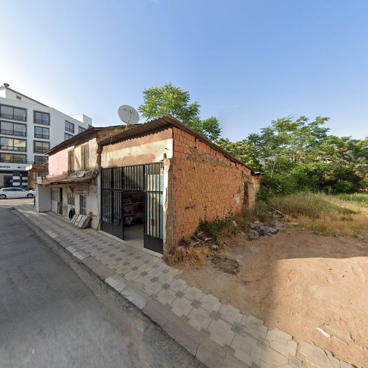 Fotoğraf 8