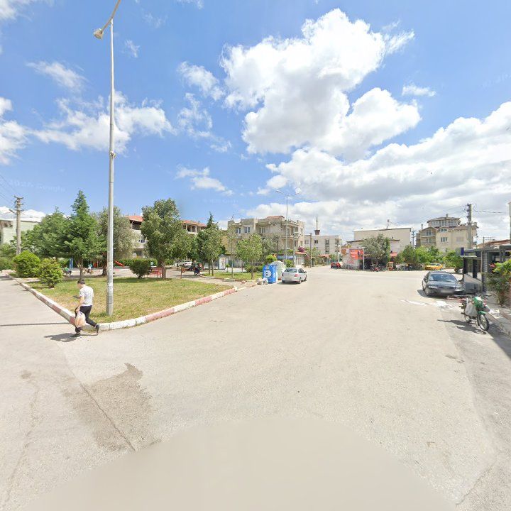 Fotoğraf 12