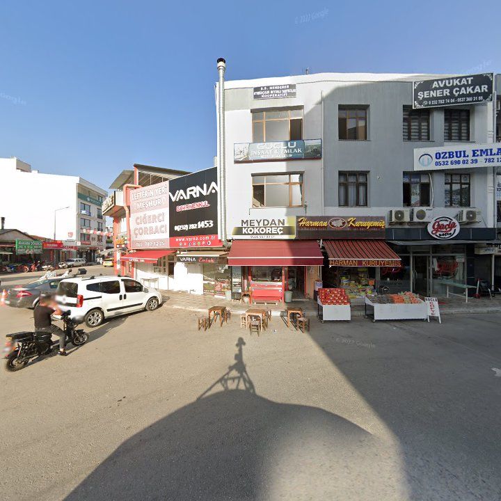 Fotoğraf 8