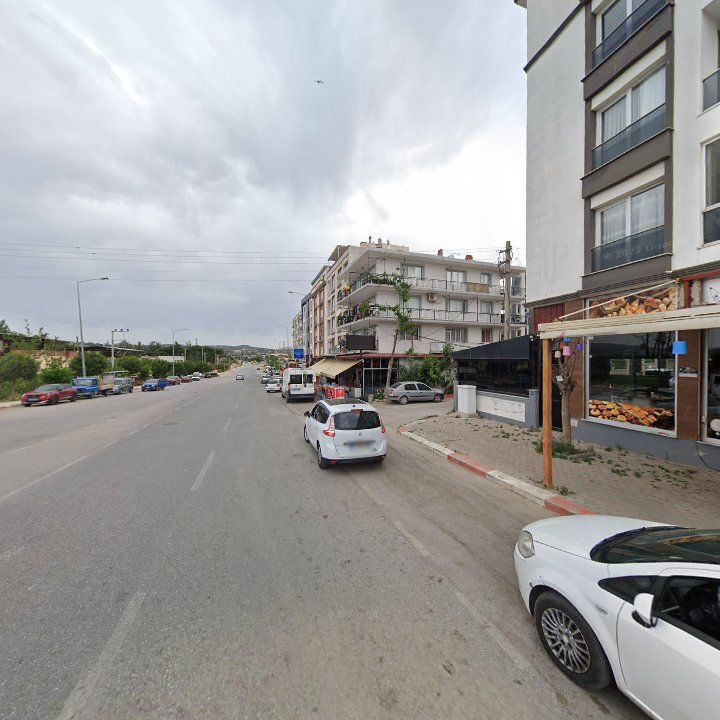 Fotoğraf 8