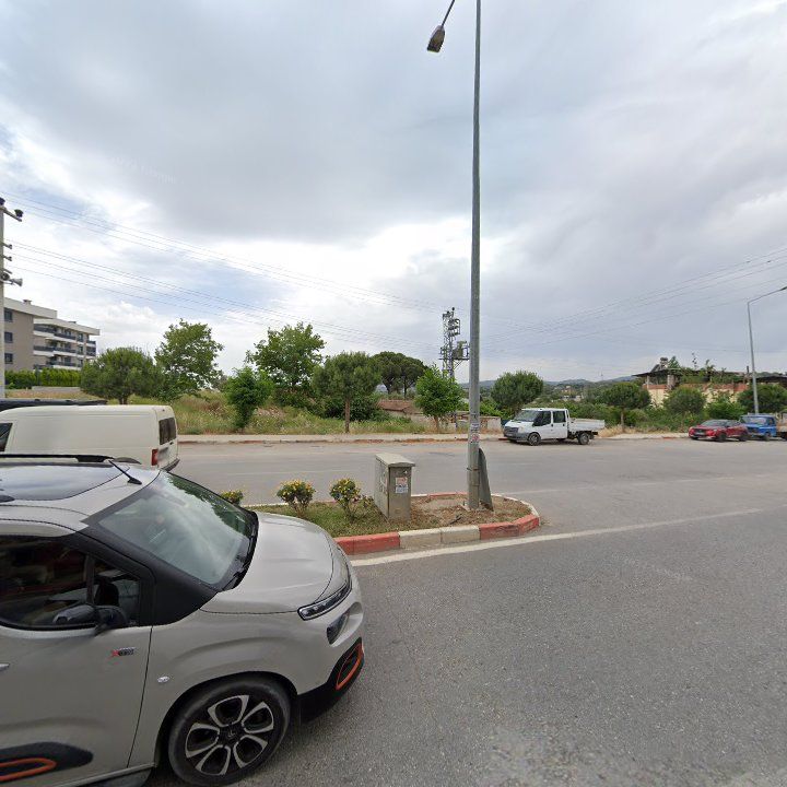 Fotoğraf 7
