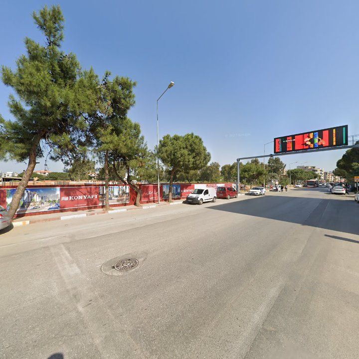 Fotoğraf 10