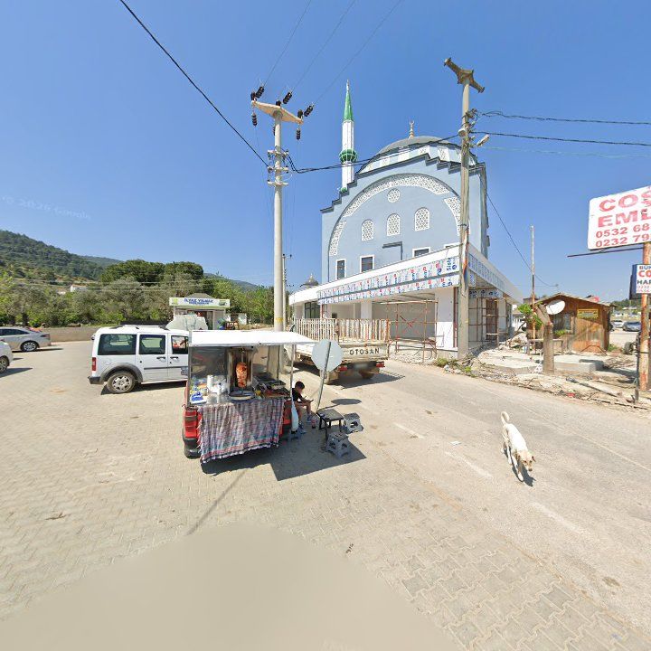 Fotoğraf 4