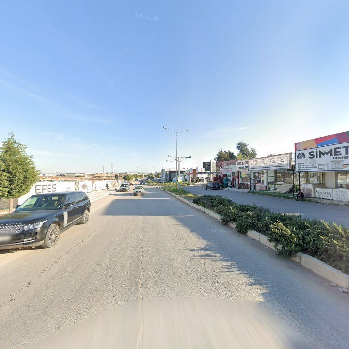 Fotoğraf 10