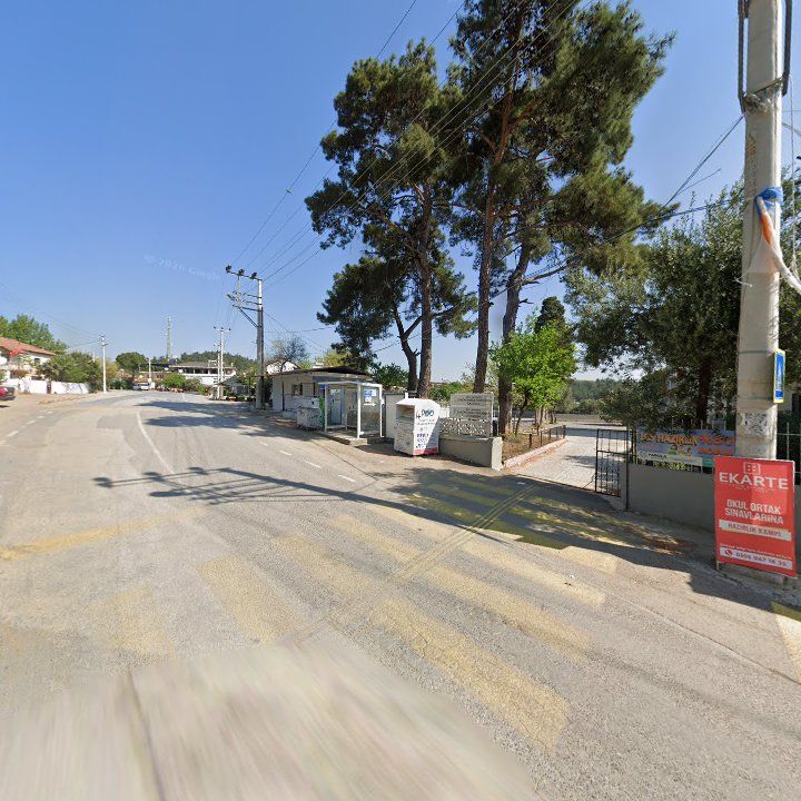 Fotoğraf 6