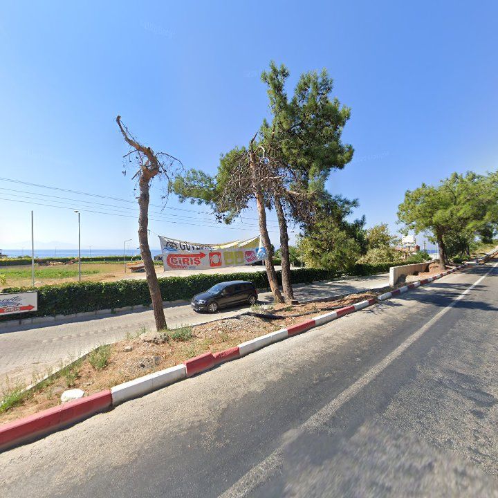 Fotoğraf 9