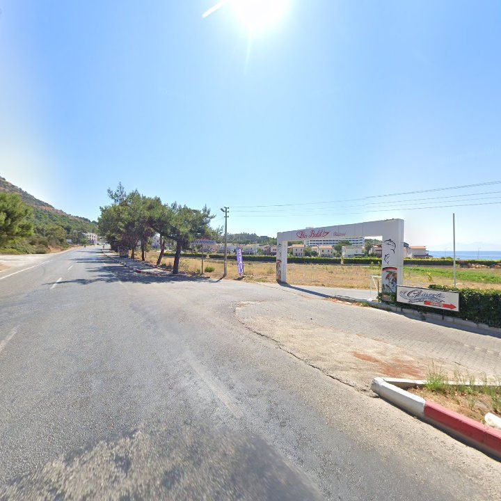 Fotoğraf 12