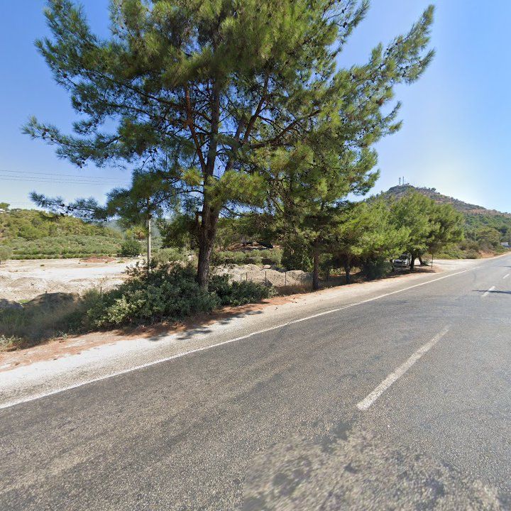 Fotoğraf 11