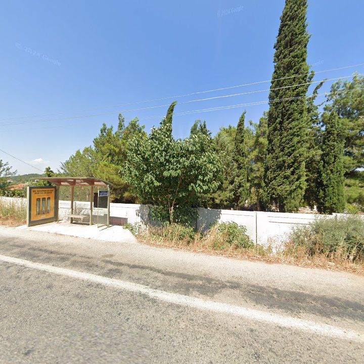 Fotoğraf 7