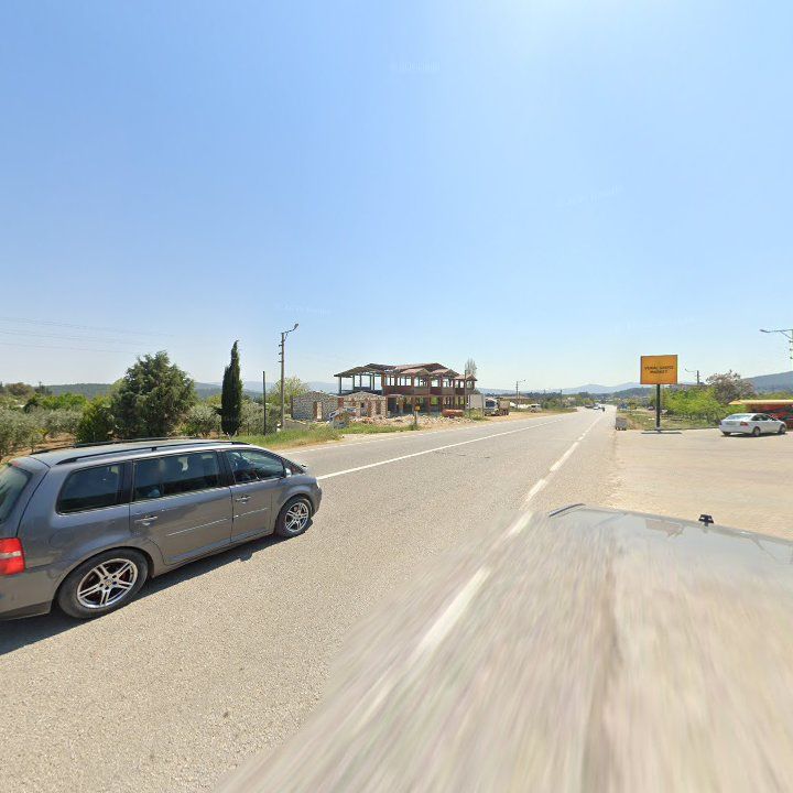 Fotoğraf 11
