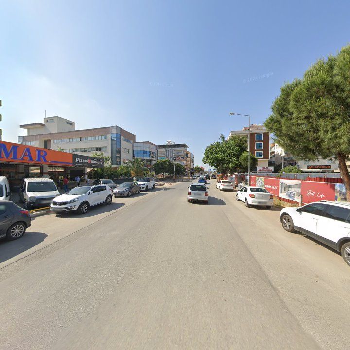 Fotoğraf 12