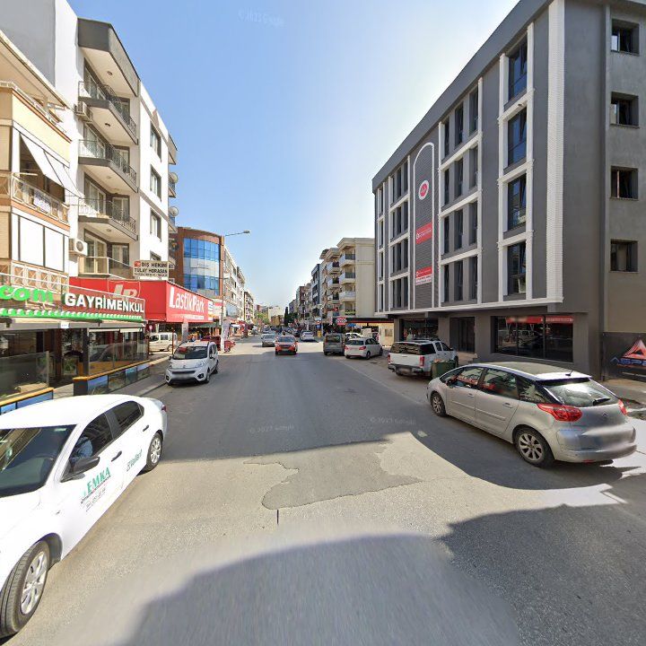 Fotoğraf 7