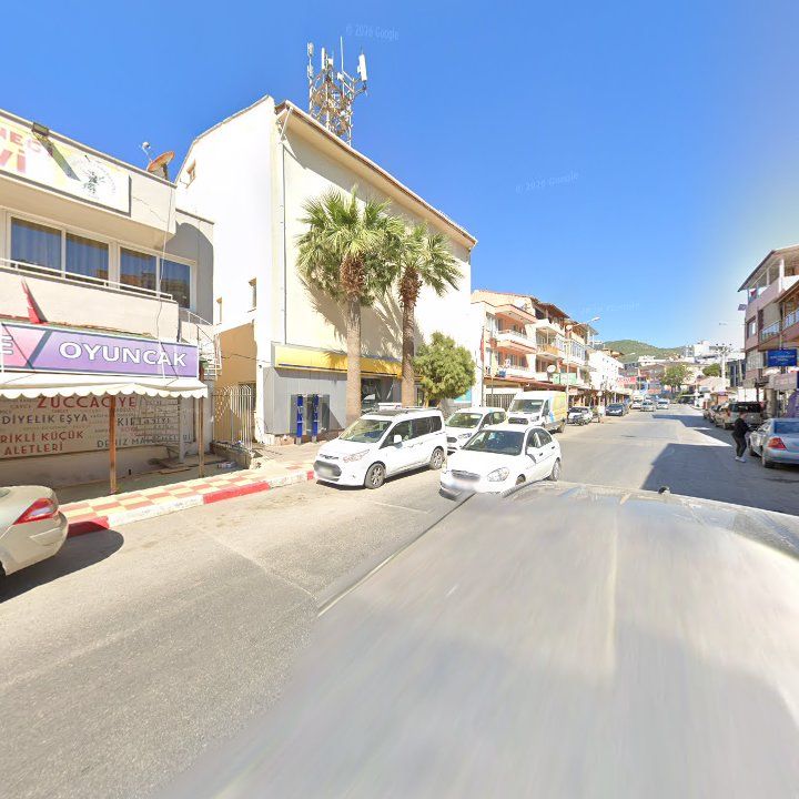 Fotoğraf 8