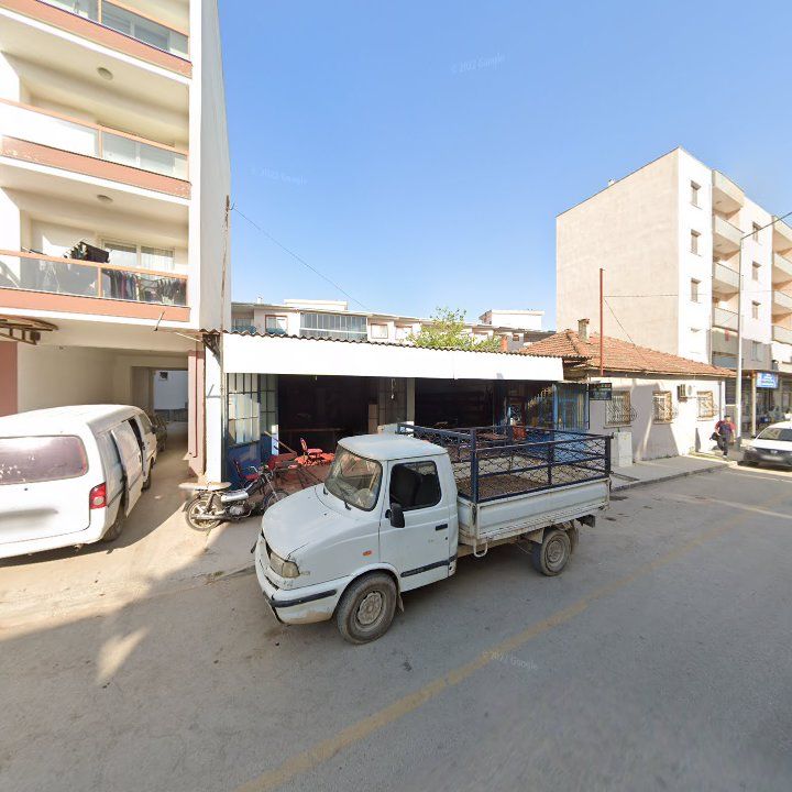 Fotoğraf 7