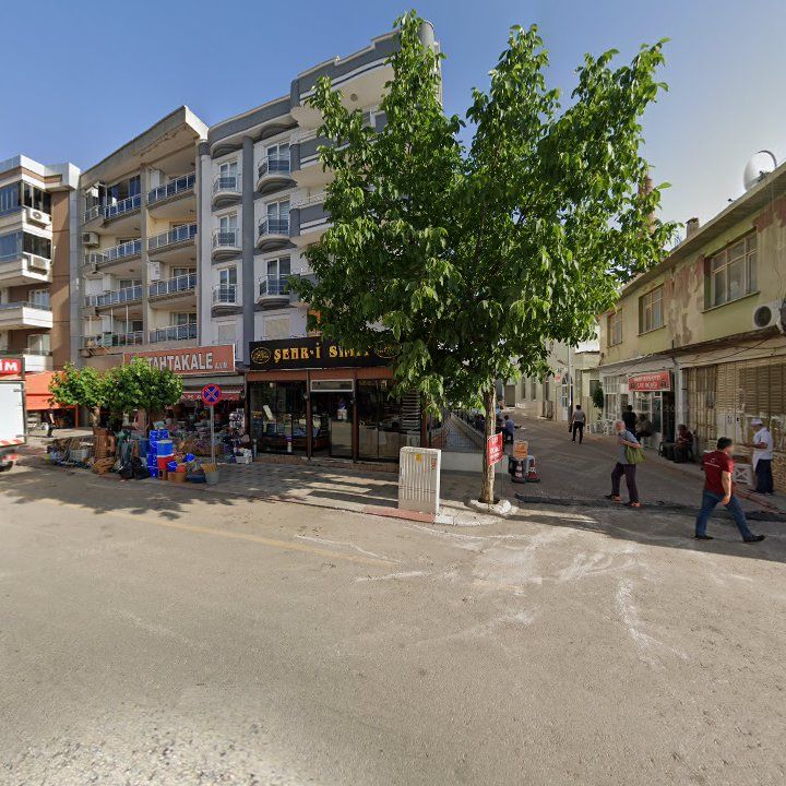 Fotoğraf 7