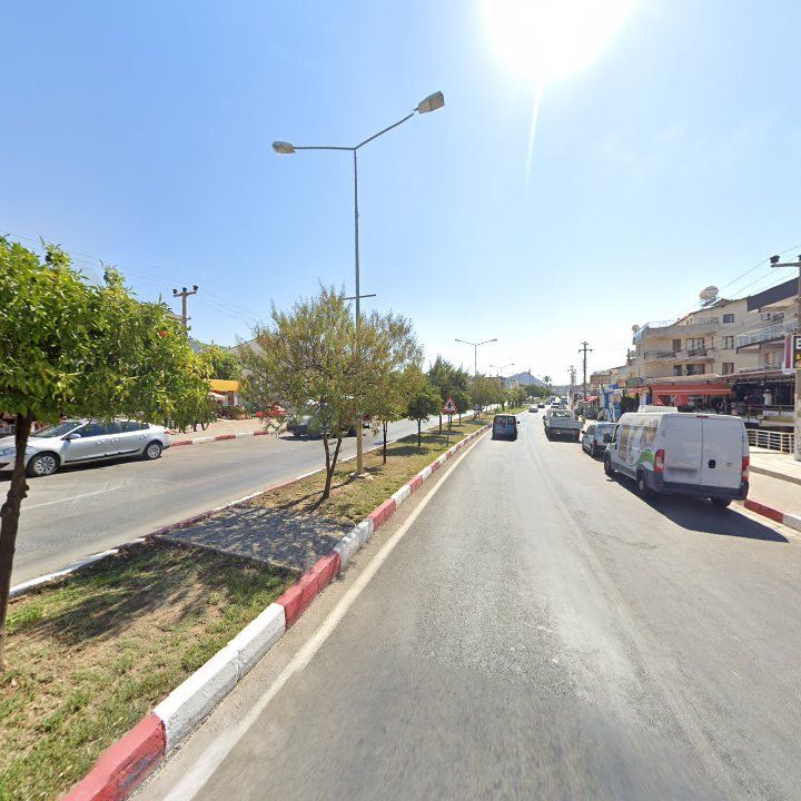 Fotoğraf 12