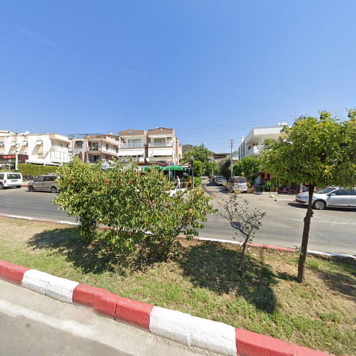 Fotoğraf 11